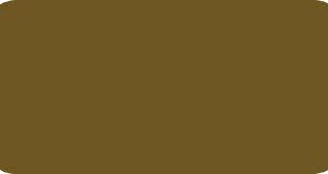8383-13 MARRONE GLOSS H 1.23 x 50