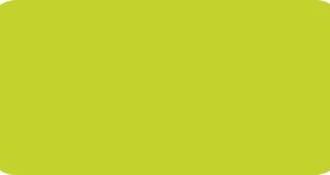 8349-17 VERDE VIBRANTE GLOSS H 1.23 x 50
