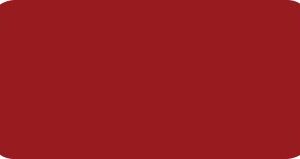 8258-03 ROSSO SCURO MATT H 1.23 x 50