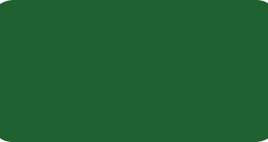 8248-01 VERDE FORESTA MATT H 1.23 x 50