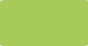 8248-05 PVC LIME OPACO H 123 X 50