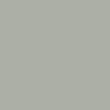 8288-05 GRIGIO CHIARO MATT H 1.23 x 50