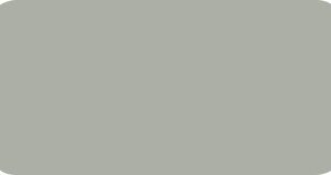 8288-05 GRIGIO CHIARO MATT H 1.23 x 50