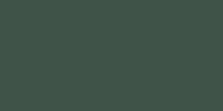 FLEX STAHLS 410 VERDE SCURO H 50 X 25