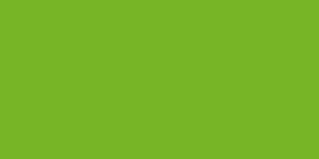 FLEX STAHLS 421 VERDE MELA H 50 X 25