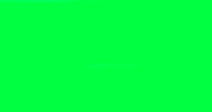 FLEX FLOCK NEON VERDE H 0.50 x 25