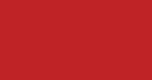 FLEX SILICONE 3D 100 my ROSSO 200 H 50 x 25